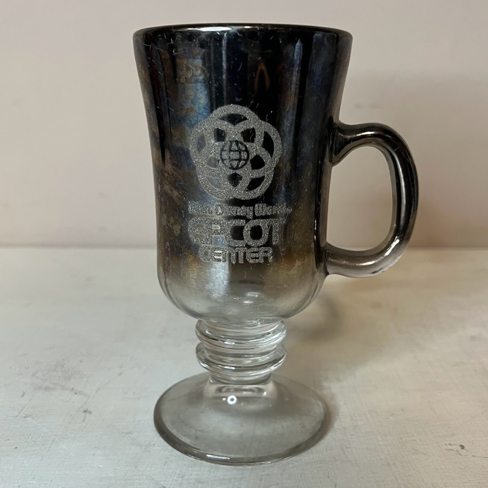 Vintage Disney World Epcot Center Glitter Detail Mirror Smoked Cup Glass Mug